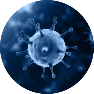 Respiratory virus particle